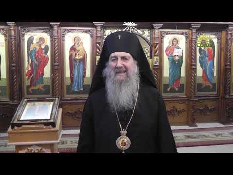ПАСХА 2024 Архиепископ Полоцкий и Глубокский Феодосий на покое