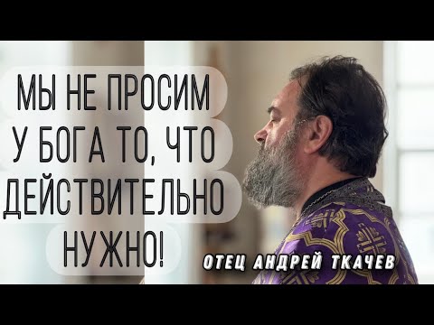 Вера, Надежда, Любовь, Премудрость Отец Андрей Ткачёв