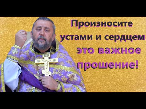 Произнесите устами и сердцем это важное прошение Священник Игорь Сильченков