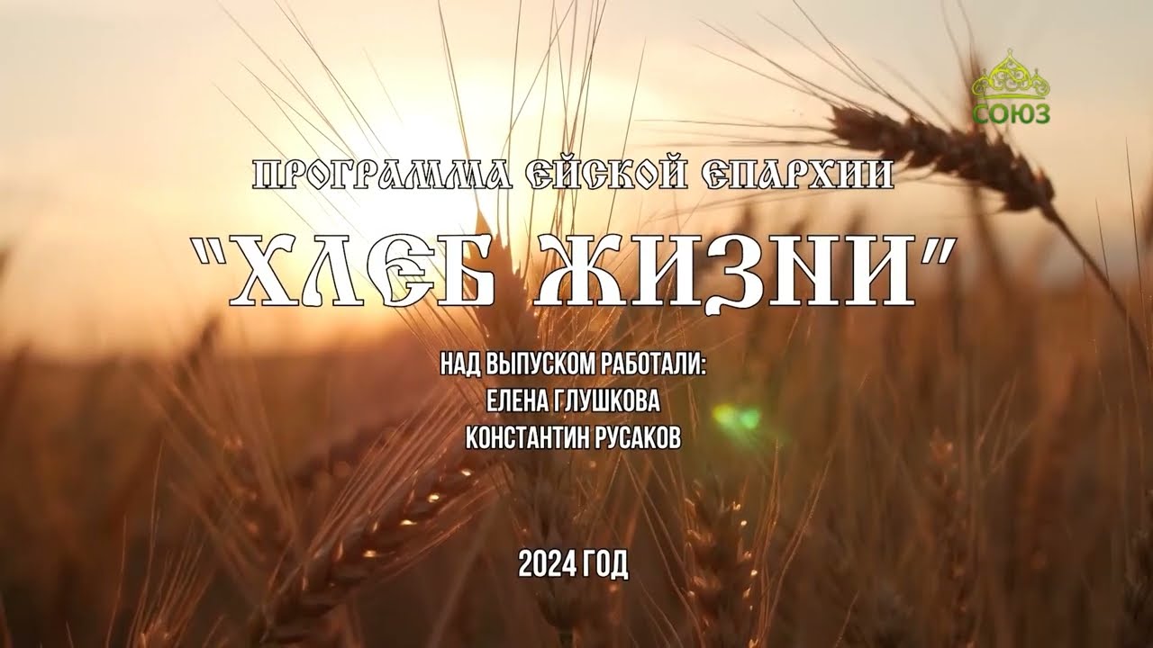 Хлеб жизни Епископ Ейский и Тимашевский Павел отвечает на вопросы зрителей