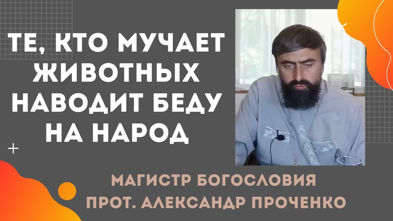 Как будут РАССЧИТЫВАТЬСЯ те, КТО МУЧАЕТ ЖИВОТНЫХ Прот Александр ПРОЧЕНКО