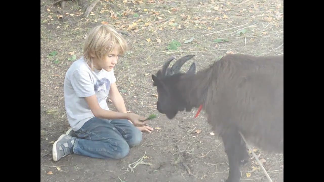 Песня Родина